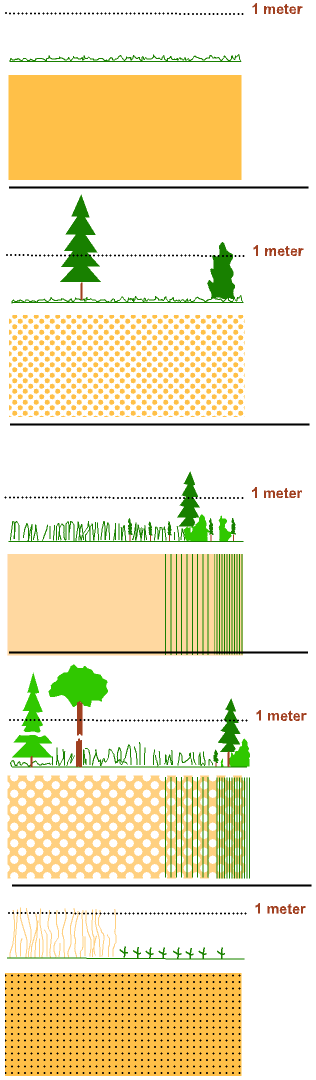 Пример соответствия пробегаемой растительности и знакам ISOM2000